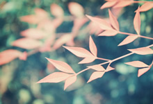 關(guān)于MDR法規(guī)2017/745：主要變化是什么？