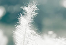 關于MDR法規(guī)2017/745：主要變化是什么？